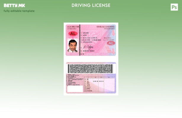 Шаблон за модерен стил Албанија DL ( ).